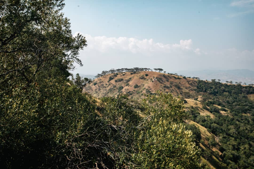 📁 Queen Elizabeth National Park ⌞📁 Landscapes ⌞📁 Images Call us on ☎️ 0789 390 350. @TourismBoardUg @ExploreUganda @ugwildlife #KnowYourPark #ExploreQueenElizabethNationalPark #KikorongoSafariLodge