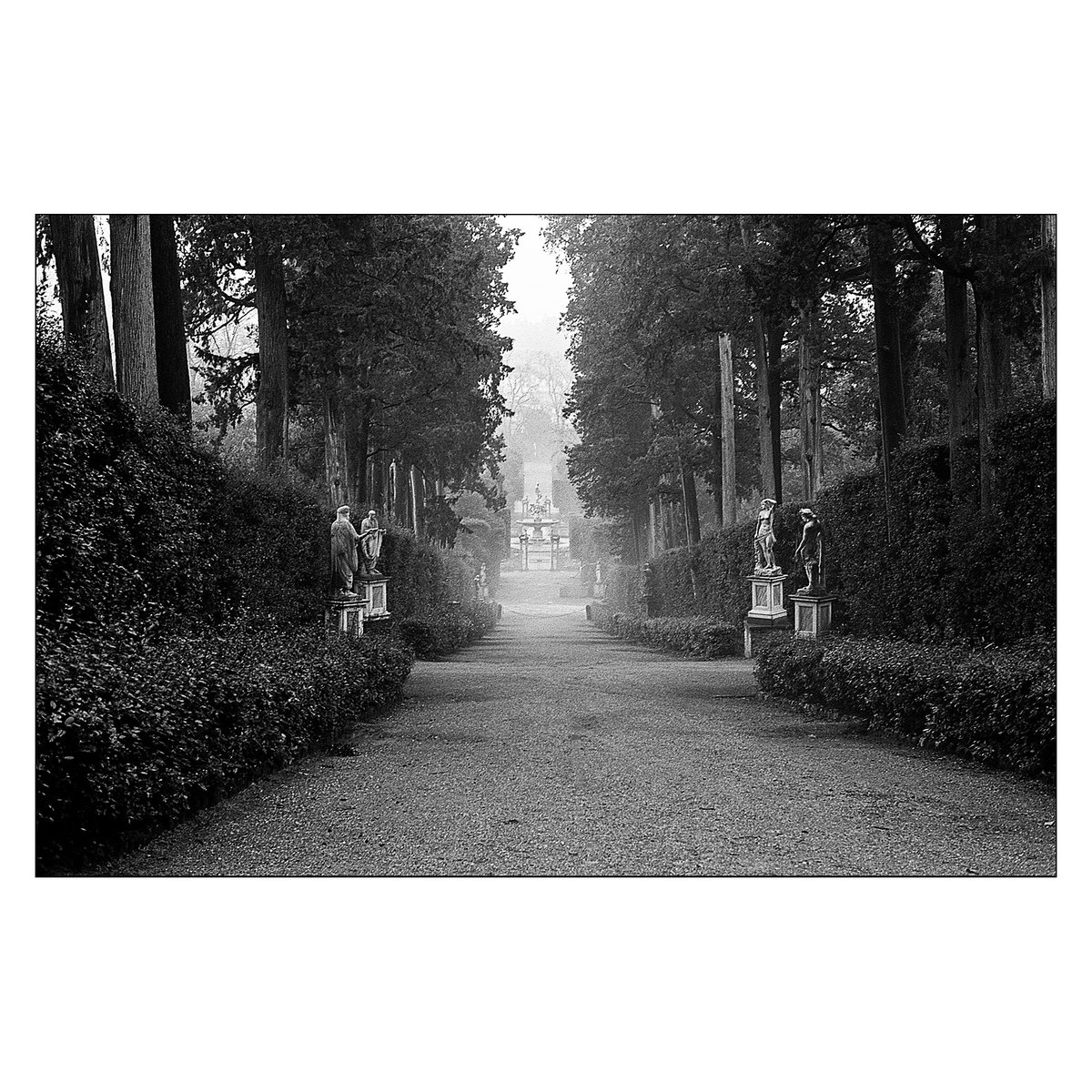 #firenzepersempre #boboli #giardinidiboboli #fotografiaanalogica #paesaggioitaliano #rodinal #developedathome #35mmfilm #filmphotography #italianlandscape #bnwfilmphotography #landscapephotography