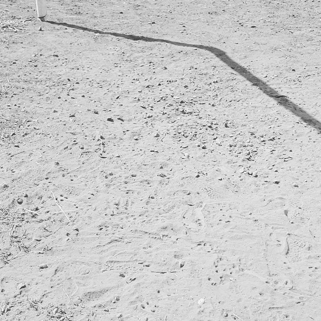 Is being a goalkeeper crazy or brave?
#goalkeeper #football #mejengas #sportsphoto #football #soccerfeelings
📷<a href="/jfbriceno/">Jose Briceño</a>