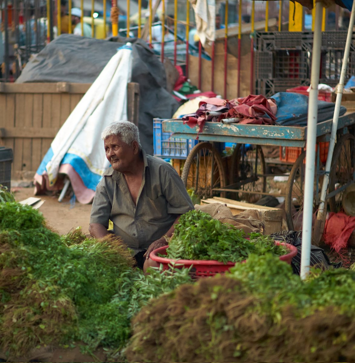 Bengaluru 09.03.2024 #Bengaluru #streetportrait #streetphoto #streetphotographer