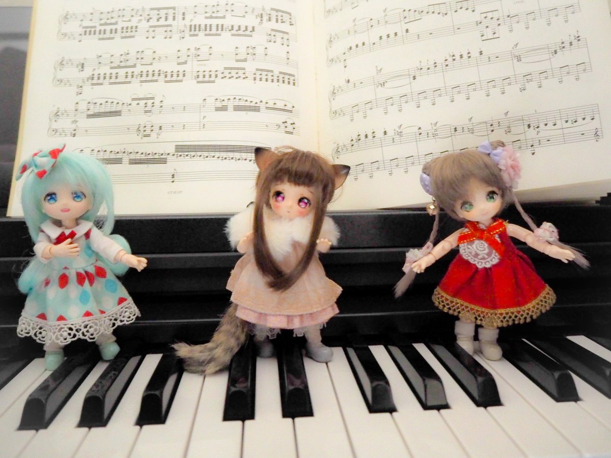 ４月４日
          ピアノ調律の日
                                 なのにゃ🎹🐾

#花かごの小部屋 #Ds服 
#7th9 #mimiel_doll