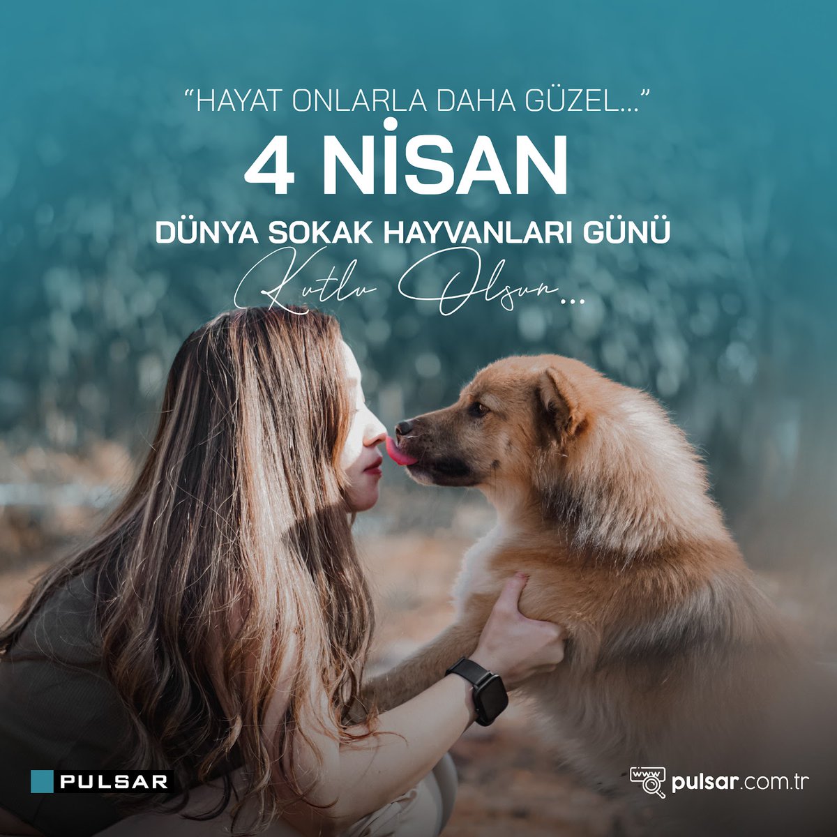 Yaşam alanlarını yok ettiğimiz binlerce hayvan dostumuz için en azından yaşamayı daha kolay hale getirmek hepimizin görevidir. Dünya sokak hayvanları gününüz kutlu olsun! #pulsarrobotik #4nisan #dünyasokakhayvanlarıgünü #sokakhayvanlarıgünü