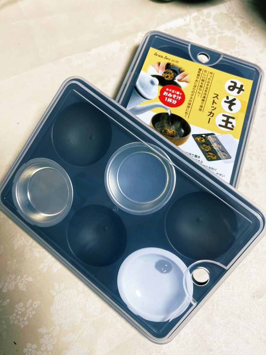 #ダイソー の「みそ玉ストッカー」に、塗料皿がピッタリで、フタが被せれるのが…良き😊
#daiso