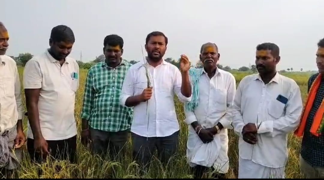 LaxmanReddyPin1's tweet photo. పెద్దపల్లి నియోజకవర్గంలోని ఎలిగేడ్(మం)ముప్పిరితోట గ్రామానికి చెందిన కచ్చు రాయుడు మరియు ఇతర రైతుల వరి పొలాలు పరిశీలించి(ఇరిగేషన్)అధికారులతో మాట్లాడి వరికి మరియు మొక్క జొన్నకు ఒక్క తడి నీళ్లు కచ్చితంగా ఇచ్చి రైతాంగాన్ని ఆదుకోవాలని రైతుల పక్షాన ప్రభుత్వాన్ని డిమాండ్ చేయడం జరిగింది. https://t.co/LyE7zHyQG4