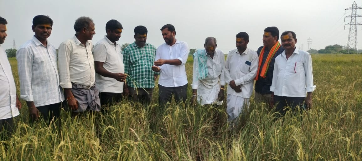 LaxmanReddyPin1's tweet photo. పెద్దపల్లి నియోజకవర్గంలోని ఎలిగేడ్(మం)ముప్పిరితోట గ్రామానికి చెందిన కచ్చు రాయుడు మరియు ఇతర రైతుల వరి పొలాలు పరిశీలించి(ఇరిగేషన్)అధికారులతో మాట్లాడి వరికి మరియు మొక్క జొన్నకు ఒక్క తడి నీళ్లు కచ్చితంగా ఇచ్చి రైతాంగాన్ని ఆదుకోవాలని రైతుల పక్షాన ప్రభుత్వాన్ని డిమాండ్ చేయడం జరిగింది. https://t.co/LyE7zHyQG4
