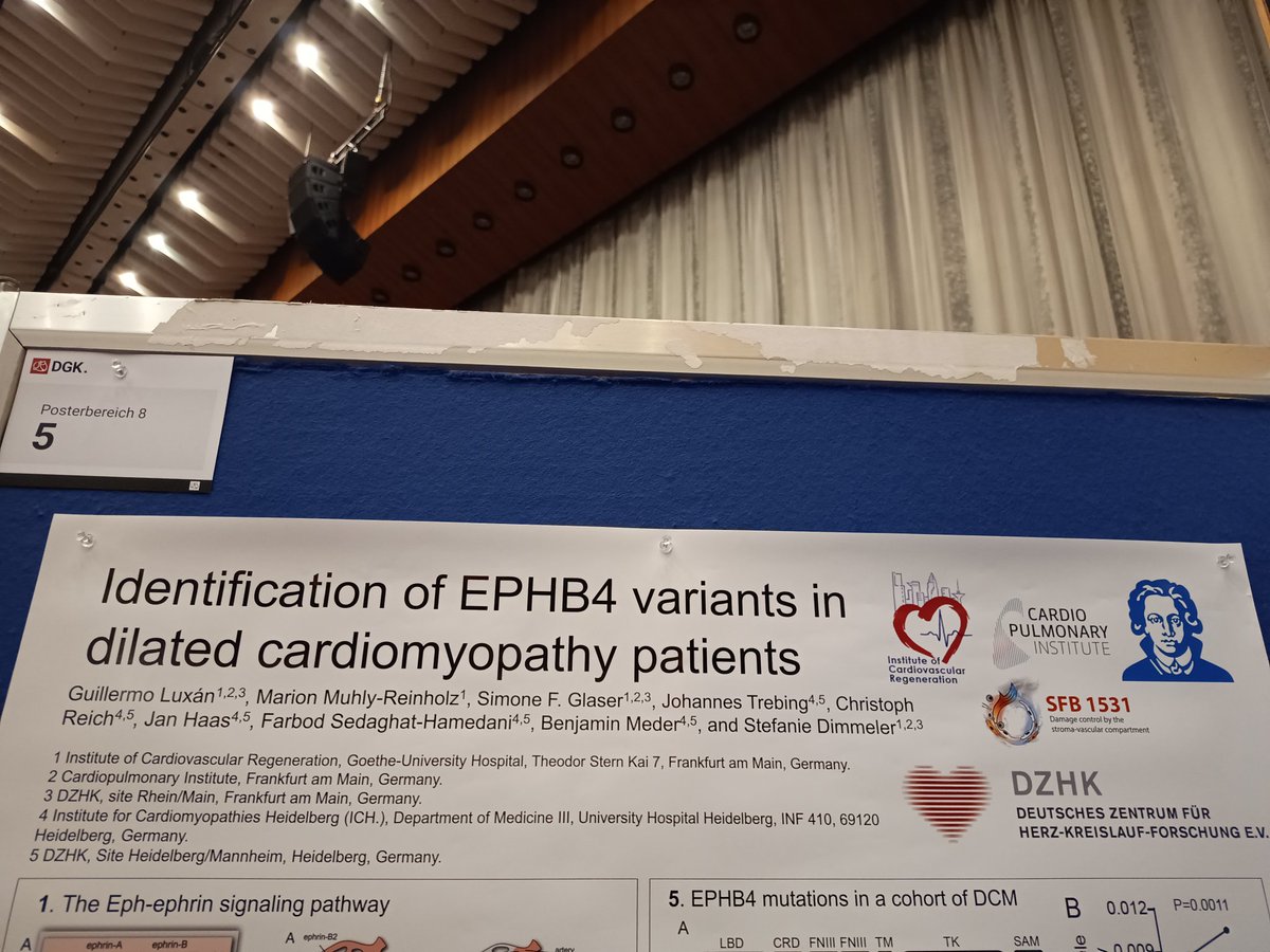 Hey @DGK_org #DGKJahrestagung, later today I will be presenting our insights about EPHB4 and dilated cardiomyopathy! See you later at Posterbereich 8 at 14:30! Thanks to @dzhk_germany that made the study possible :) @InstCardReg_FFM @DimmelerLab