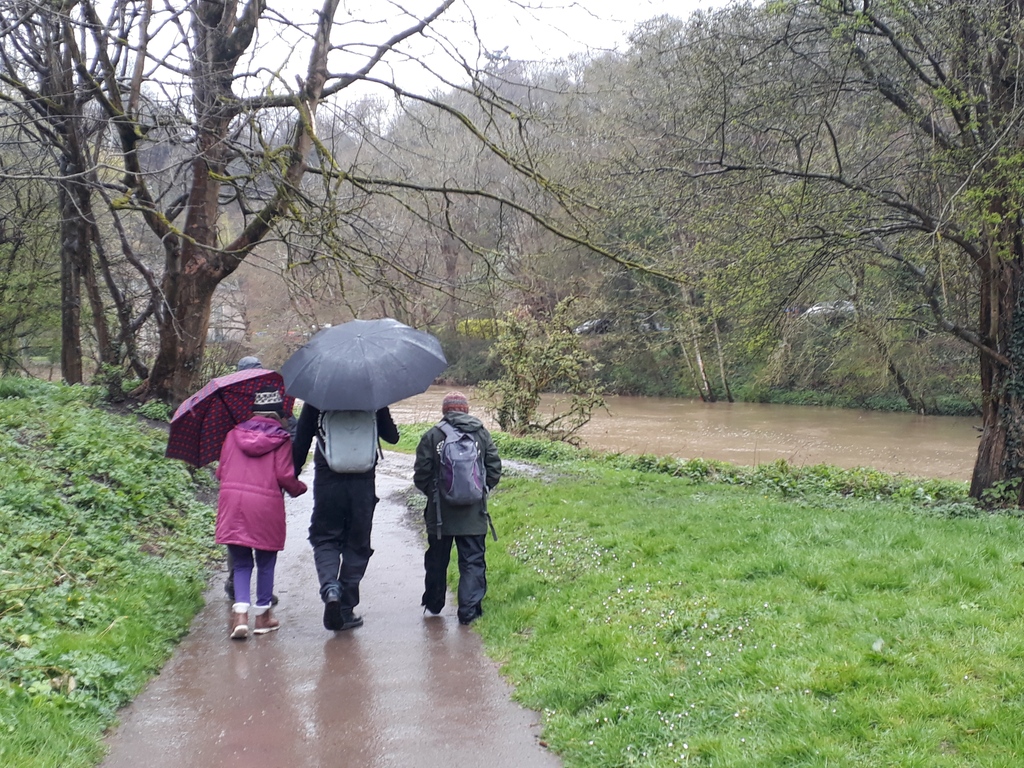 It's been a rainy start back in the woods for our Bristol and South Glos Dementia Wellbeing Groups, but we're a hardy bunch and unstoppable when armed with a tarp and a warm waterproof coat!💪🌧️🌳⁠ ⁠ #greensocialprescribing #Bristoldementiawellbeingservice @adornocompanions