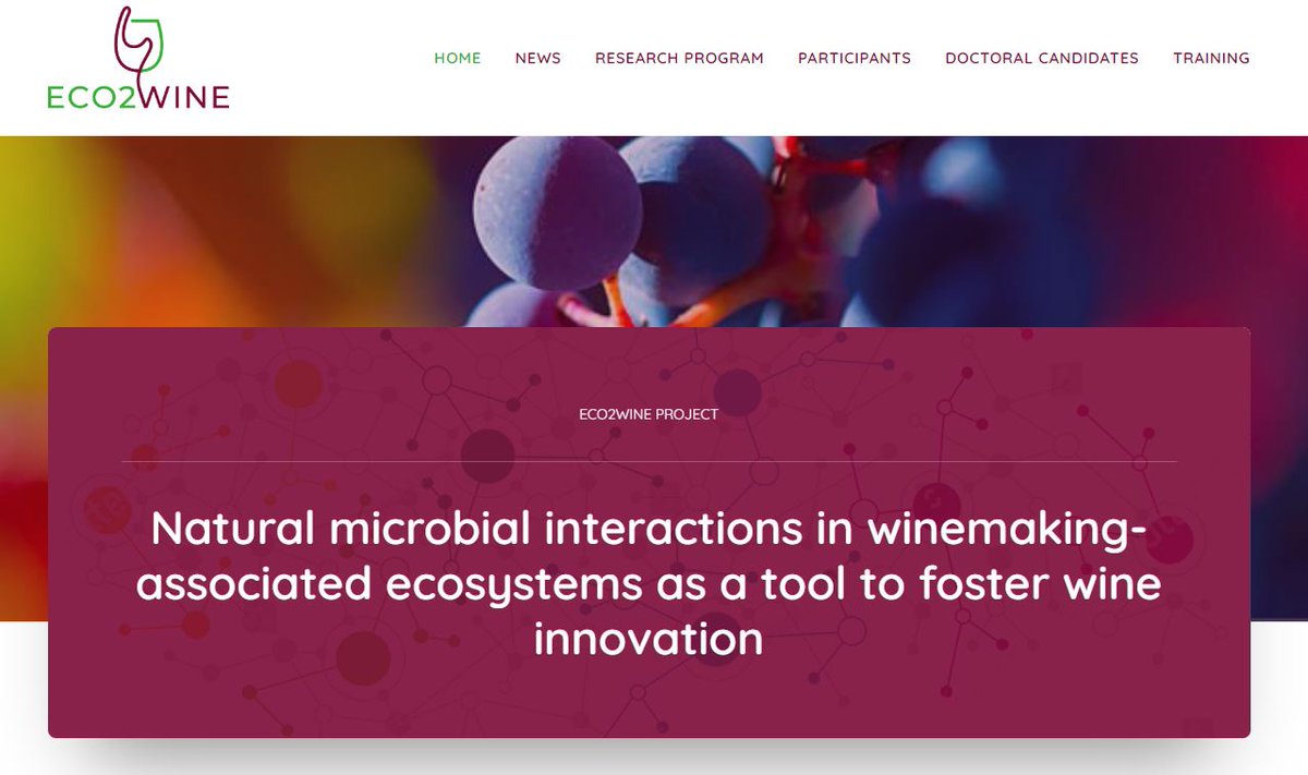 Looking for a #scicomm PhD interested in communicating about eco-friendly #wine and cutting-edge #winescience & #microbiomics - three years, EU-funded, based @StellenboschUni - euraxess.ec.europa.eu/jobs/213105