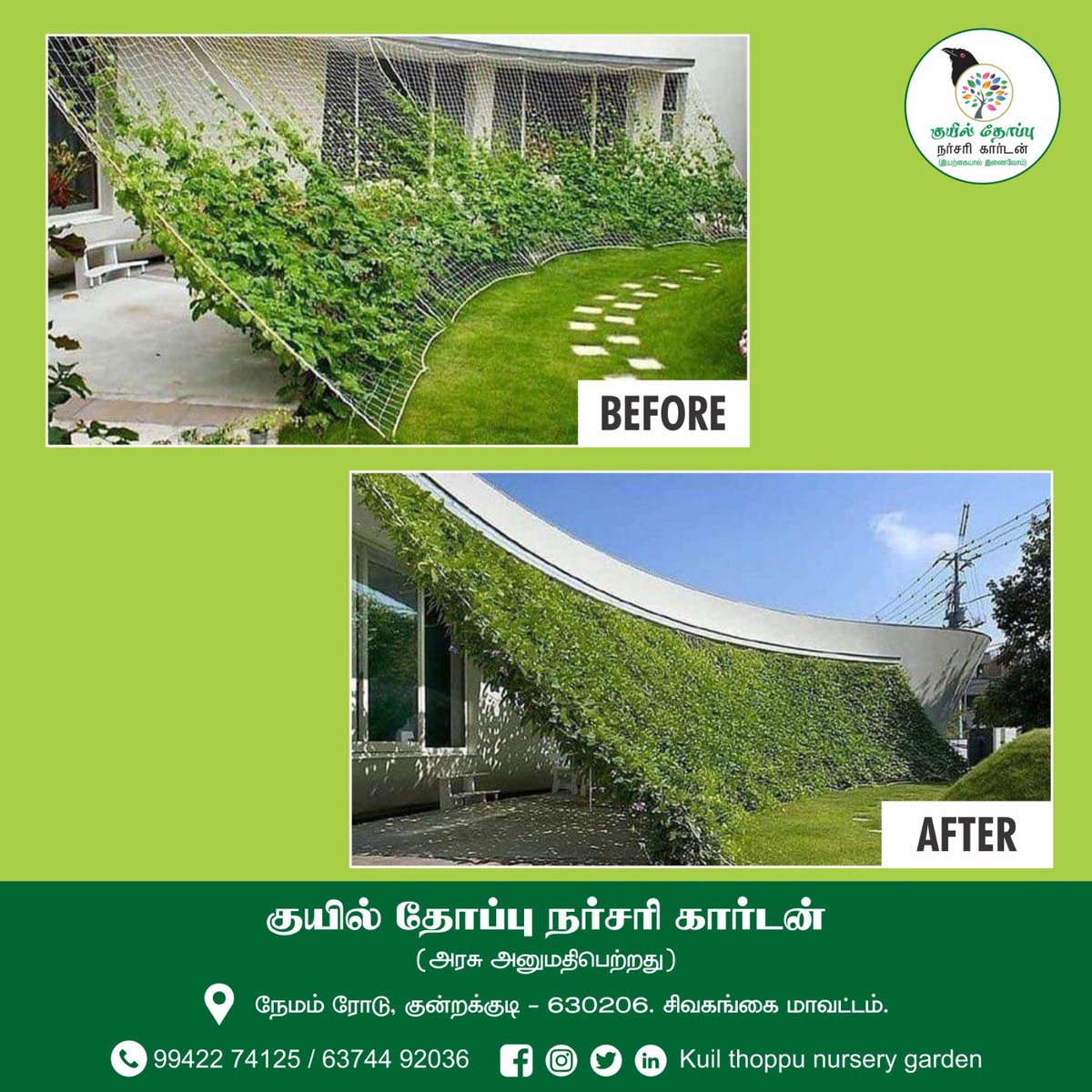 koel_thoppu's tweet image. உங்கள் இல்ல தோட்டத்தில் இதுபோன்ற லாண்ட்ஸ்கேப்பிங் அமைக்க அழையுங்கள்

Contact us: 63744 92036 / 8778217566

#landscaping #Landscapeservice #kuilthoppu #kuilthoppunurserygarden #kundrakudi #nurserygarden