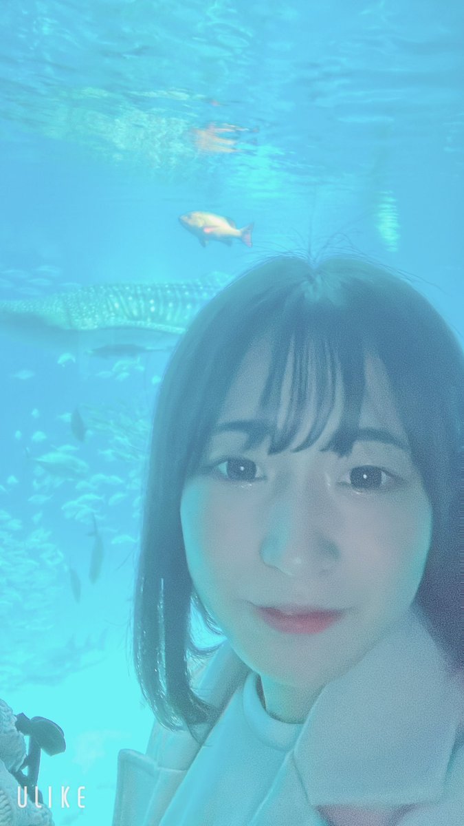 tpg_yuna's tweet photo. 大阪旅行③
海遊館！！水族館ほんとに大好きだから行けてよかった🥰
 #大阪 
 #海遊館 
 #旅行 https://t.co/t0TEqblEJs