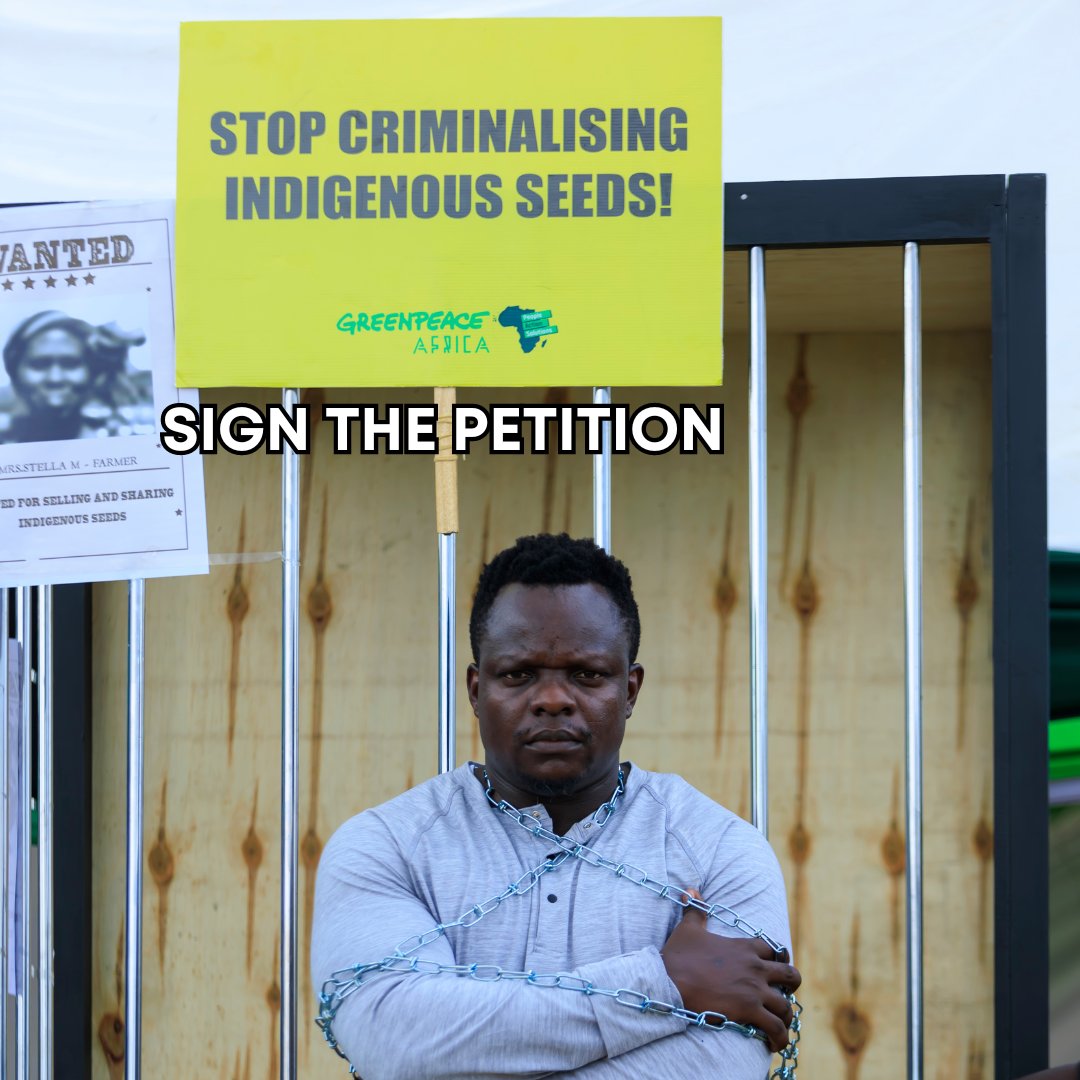 Help indigenous farmers break free from the shackles of the senseless seed law that JAILS them for attempting to create a food-secure country, and ultimately continent. Do so here 👉 bit.ly/4axE47H