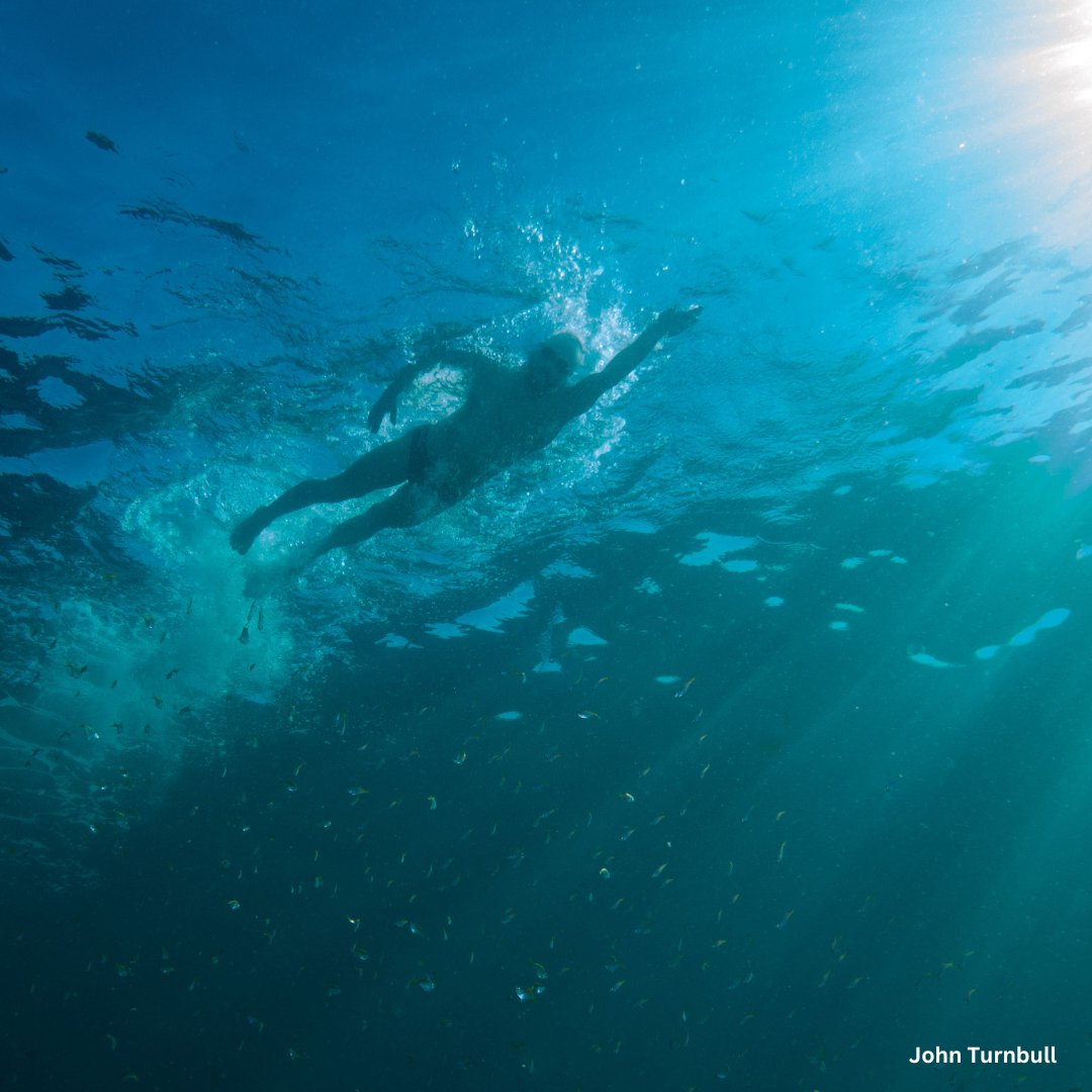 Sydney Harbour is an incredibly diverse playground - whether you’re swimming, kayaking, boating, commuting, diving or whatever it is you do we want to know more about your experience!  Fill in our survey and add to our research! utsau.au1.qualtrics.com/jfe/form/SV_dm… @turnbull.john