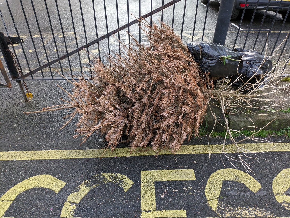 Stuart Gray tweet media