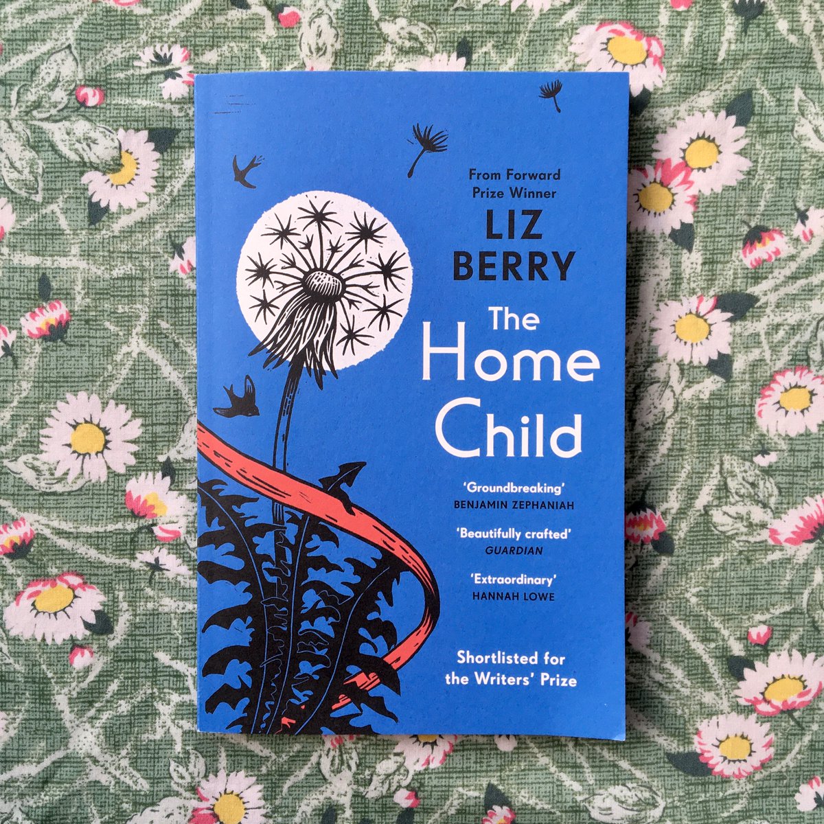 The Home Child is out in paperback today. Godspeed to these little lovely dandelion seeds off to find their readers… ❤️ penguin.co.uk/books/438568/t…