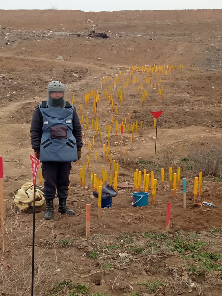 HikmetHajiyev's tweet photo. 4 April -International Mine Awareness Day. 
In the attached photo provided by @ANAMA_gov_az yellow sticks are identified landmines that require neutralization and decomposition. 

Almost every inch of land in the liberated territories of Azerbaijan are infested with landmines by Armenia throughout the years of military occupation. @unmas