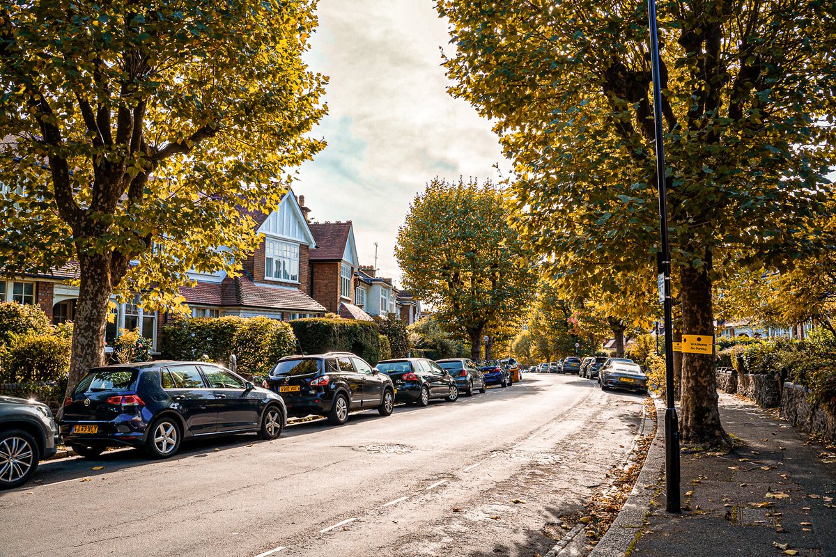 Heard of the 3-30-300 rule? 👉For mental and physical wellbeing, city residents should have: 👀3 trees within sight of their home 🌳30% canopy cover in their neighbourhood 🚶300 meter walk to the nearest park Another reason to fill our streets with trees! 🌳🌳