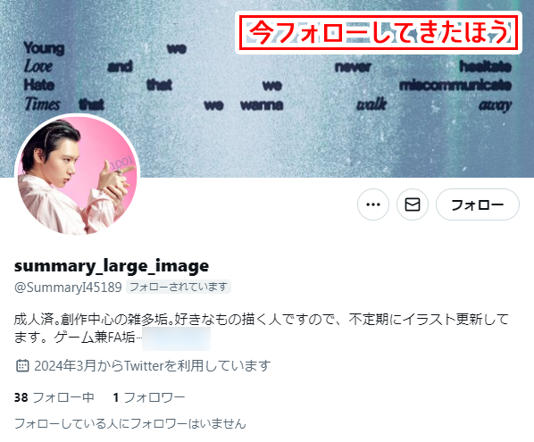 さっきフォローされた相手が自己紹介見る限りは普通にオタの方に見える