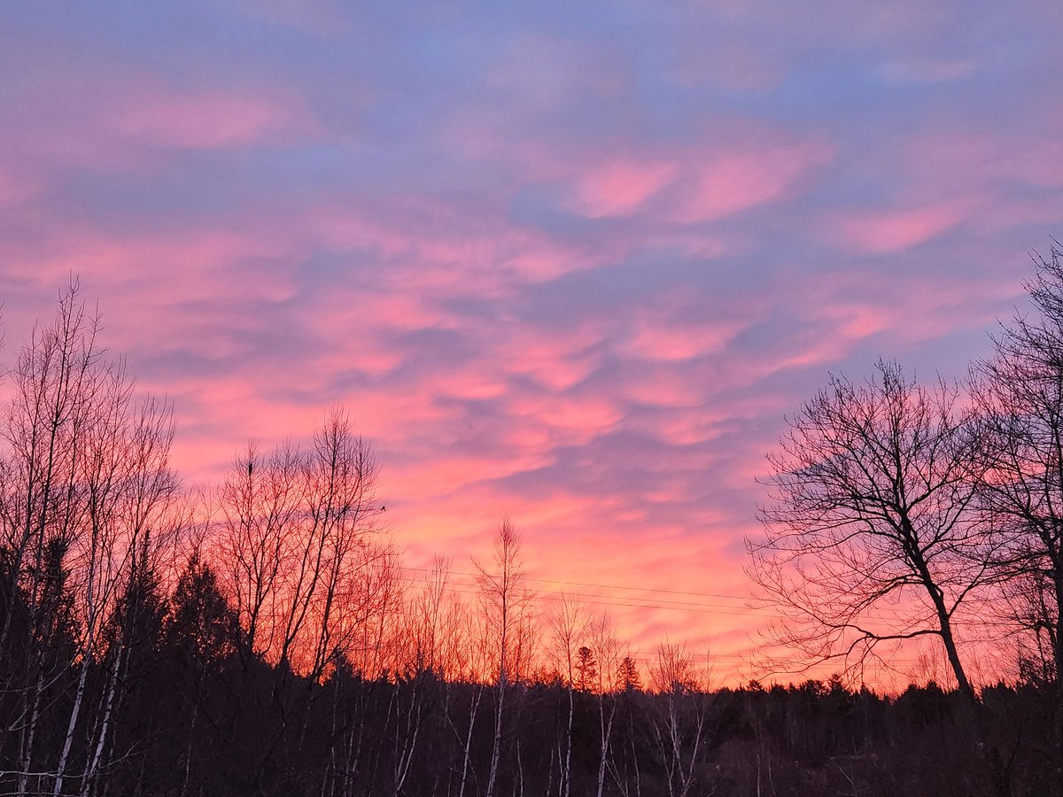 Stephie_Hayden's tweet photo. @KalinMitchelCTV  pink skies in the morning sailors take warning. Pic taken at 6:53am. https://t.co/Cx2jUUbRNb