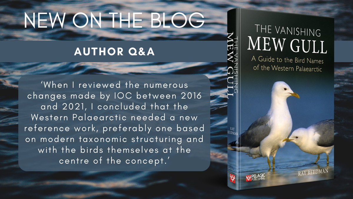 New on the blog! Ray Reedman talks to us about The Vanishing Mew Gull 📖 Read the full interview ➡️ loom.ly/xp1FInI #birdnames #nomenclature #ornithology #taxonomy #etymology #westerpalaearctic #newontheblog #authorinterview