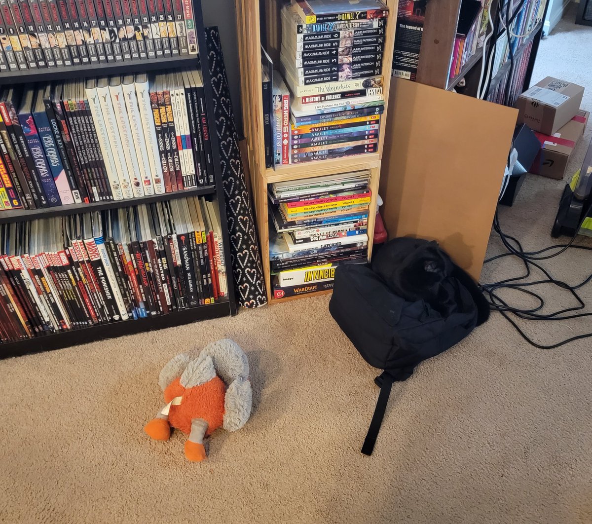 Hafatam1's tweet photo. Master of disguise.
#canyouseemenow #blendinglevel #comfykitty #umbra @KrimsonRogue https://t.co/wQrrHF7m0f
