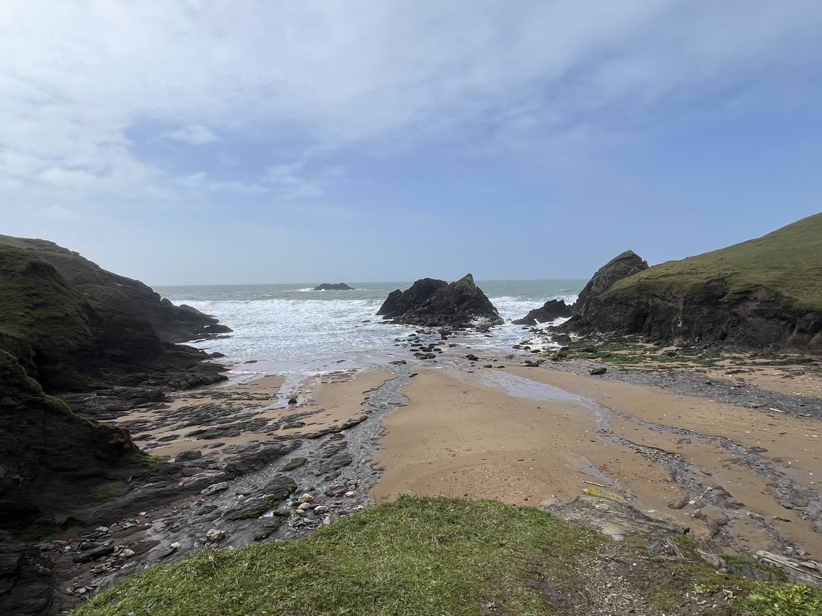 Wynne Parry tweet media