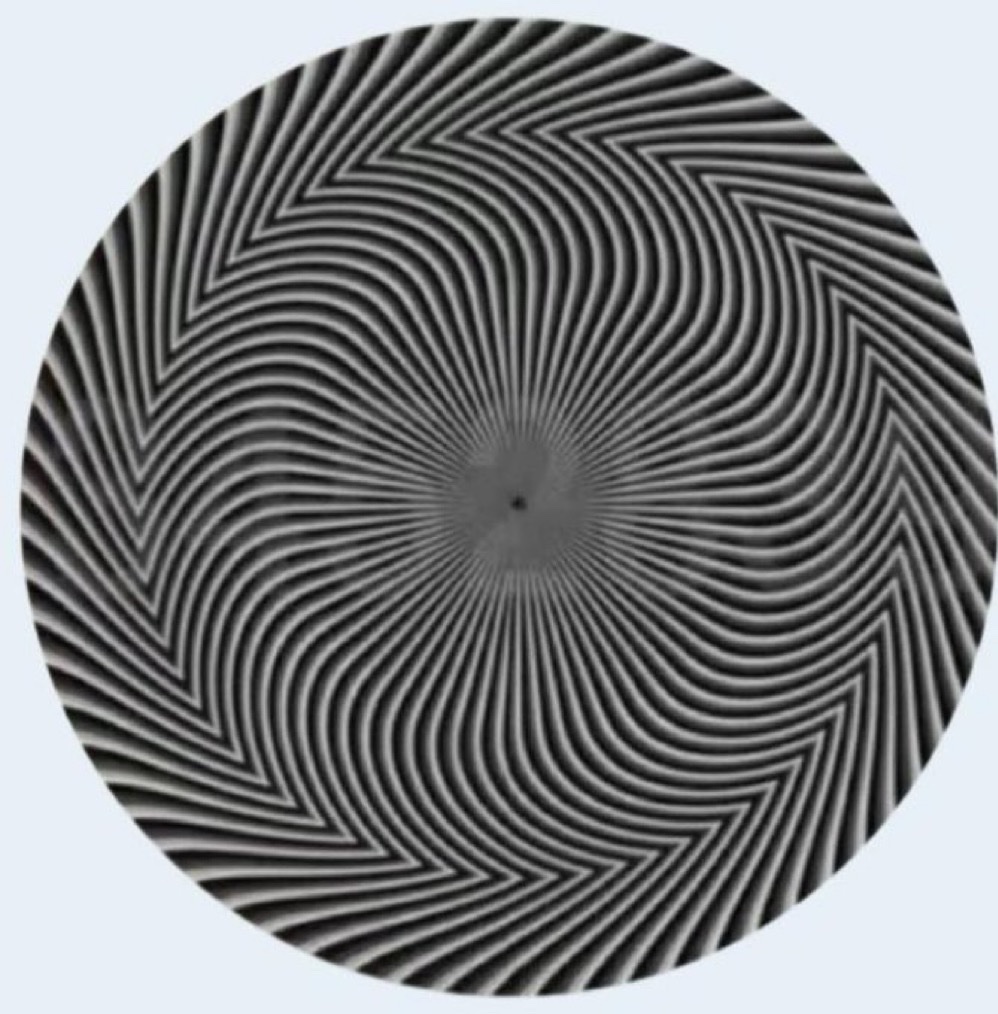 ElonMuskAOC's tweet image. What do you see?