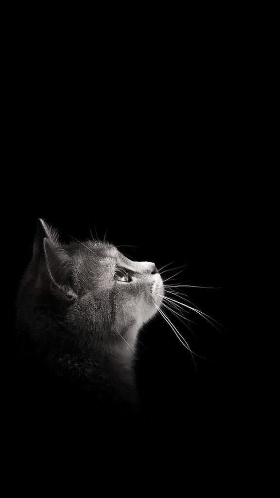 04.04.2024
4cü gün
🤗❤️