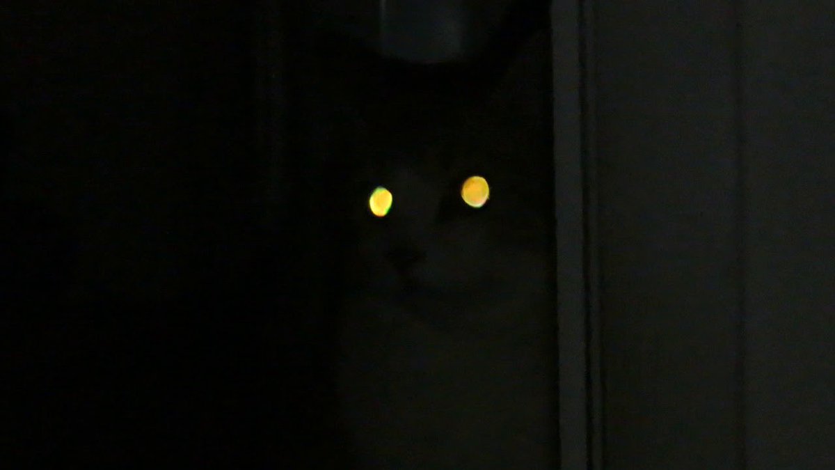 ﹒ ⁎ ‍ 𝑹𝐄𝐀𝐏𝐄𝐑 、𖥔 (@devoidgrace) on Twitter photo 