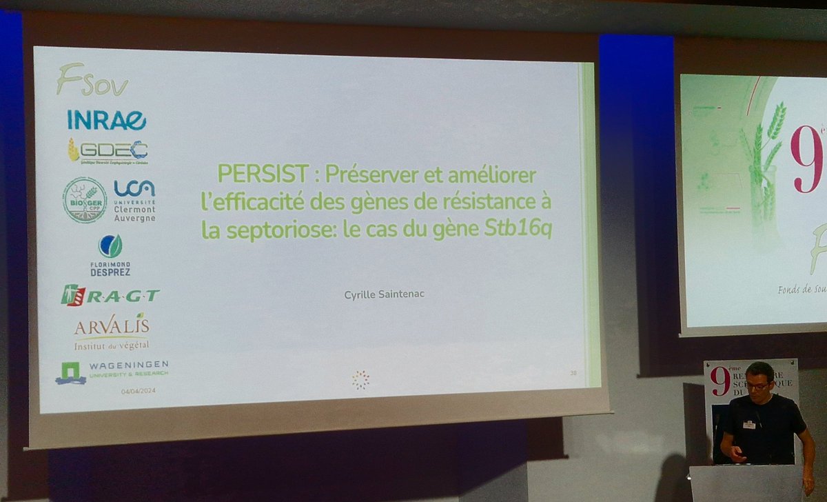 wheatpath's tweet photo. Présentation des résultats du projet #FSOV 2018 #PERSIST @semae_officiel : "Préserver et améliorer l’efficacité des gènes de résistance à la #septoriose : le cas du gène Stb16q". Coord. INRAE #GDEC avec implication @INRAE_Bioger. https://t.co/yTagVh4NP4
