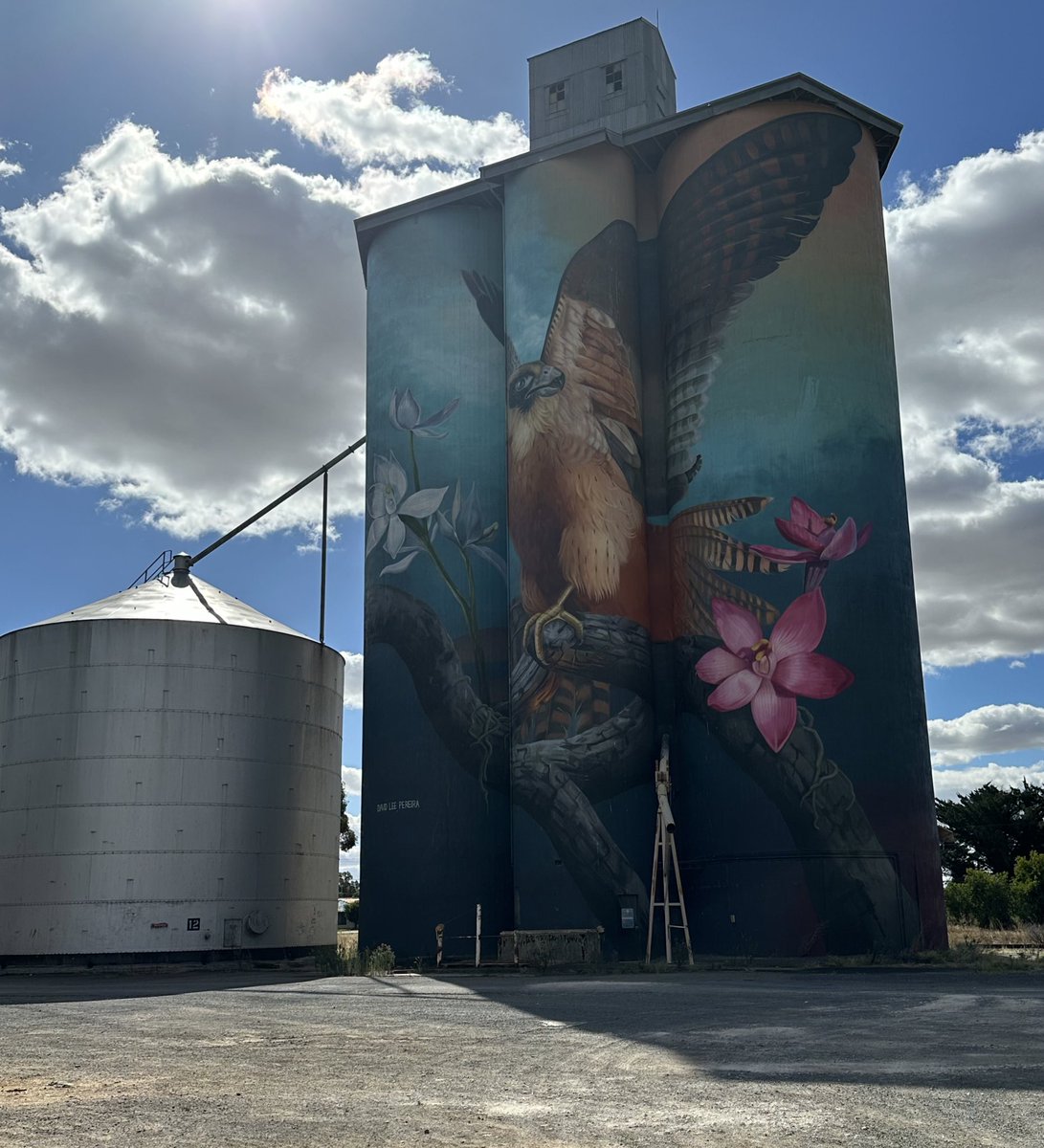 Incredible Silo Art in the Wimmera