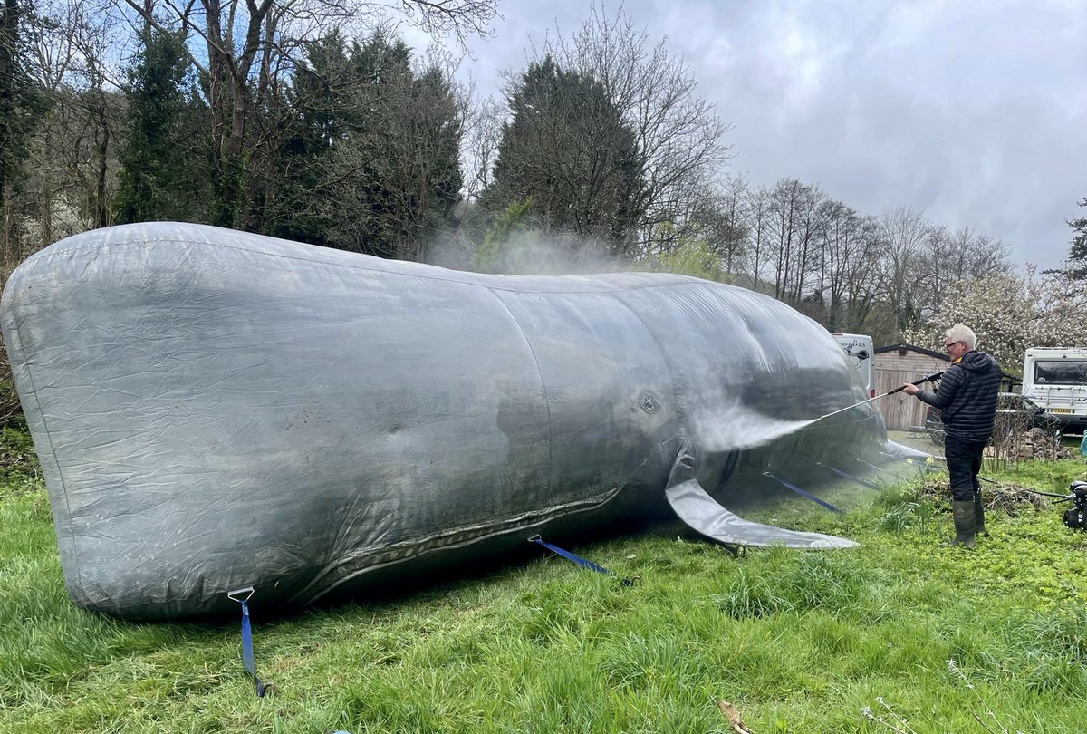 Our lovely inflatable Whale, having a good old wash down and minor repairs done ready for its safety inspection. Let the wonderful Whale show season begin. 🐳❤️ @ace_southeast #whale