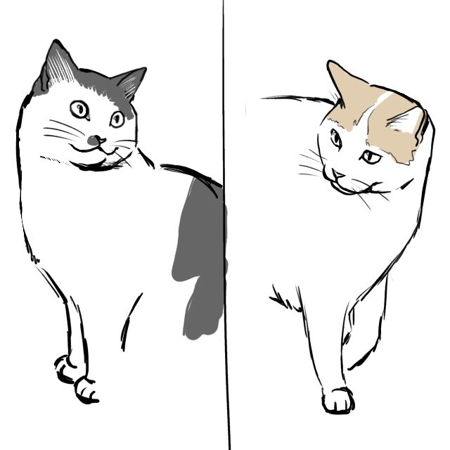 風ちゃん雷ちゃん描き中✍️ 