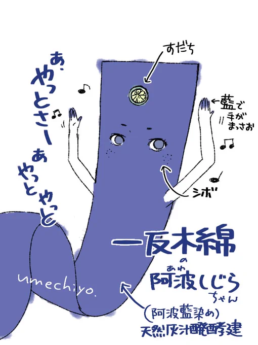 一反木綿の阿波しじらちゃんです。
私が個人的に一番好きな木綿着物の生地です。軽くてサラッとして、適度に柔らかく適度にハリがあり、着やすさ最高。 