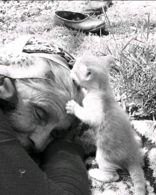 Être pris dans les bras et qu'on vous caresse les cheveux. N'importe quel être humain en a besoin, quel que soit son âge. Celui qui nie a forcément mis un voile sur ce besoin là en se disant qu'il n'en souffre pas. Balivernes ! Il en souffre sans pouvoir l'admettre.

🤍 A.Ledig
