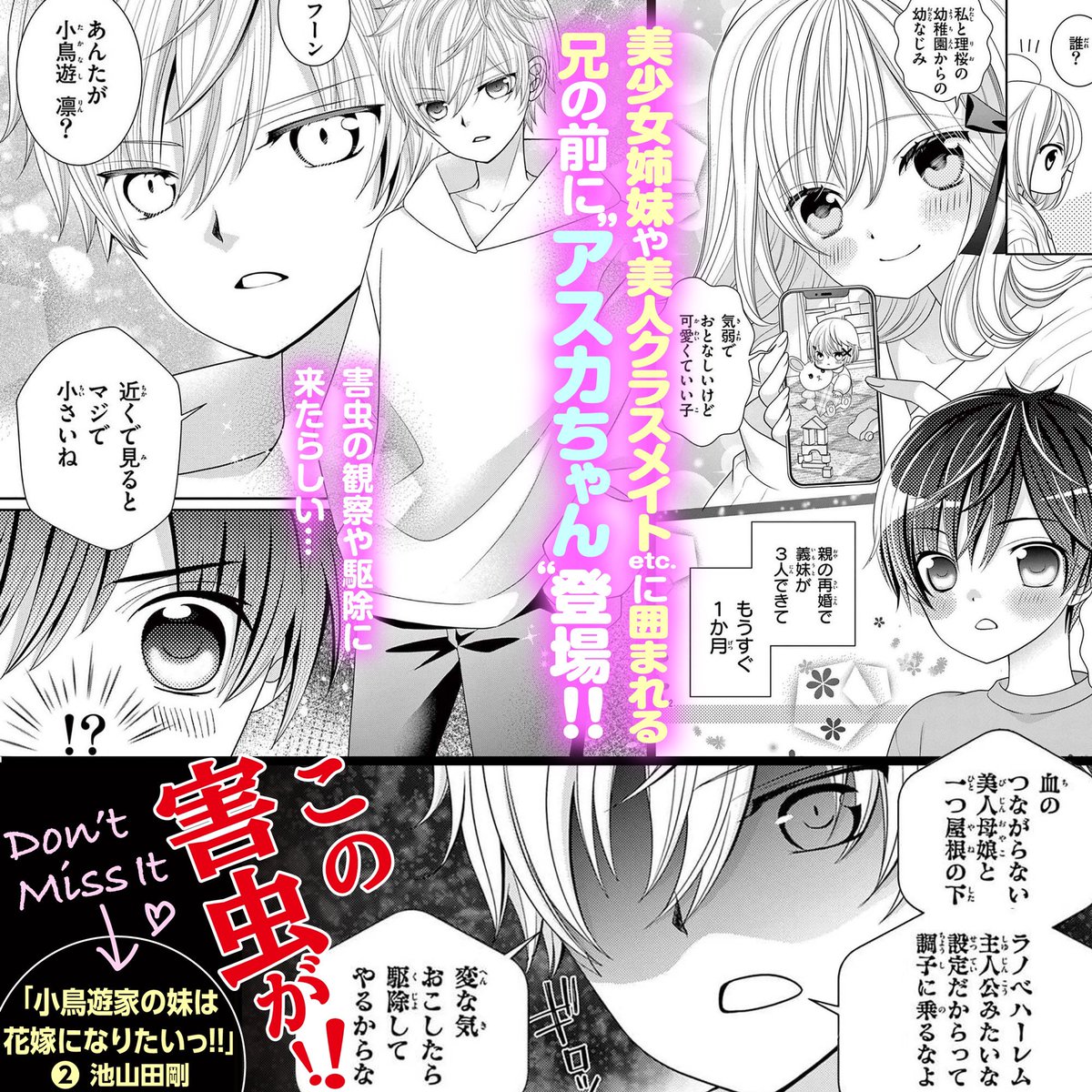 直筆サイン入りキャンバスアート 小鳥遊家の妹は花嫁になりたいっ！！ 生写真 直筆サイン入りキャンバスアート 小鳥遊家の妹は花嫁になりたいっ！！ 生