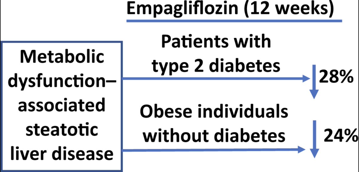 RCT Empagliflozin effective in ⬇️ liver fat in people with and without T2 diabetes. ⬇️ in liver fat content is independent of the ⬇️ in plasma glucose Strongly associated with ⬇️ in body weight & improvement in insulin sensitivity diabetesjournals.org/care/article-a…