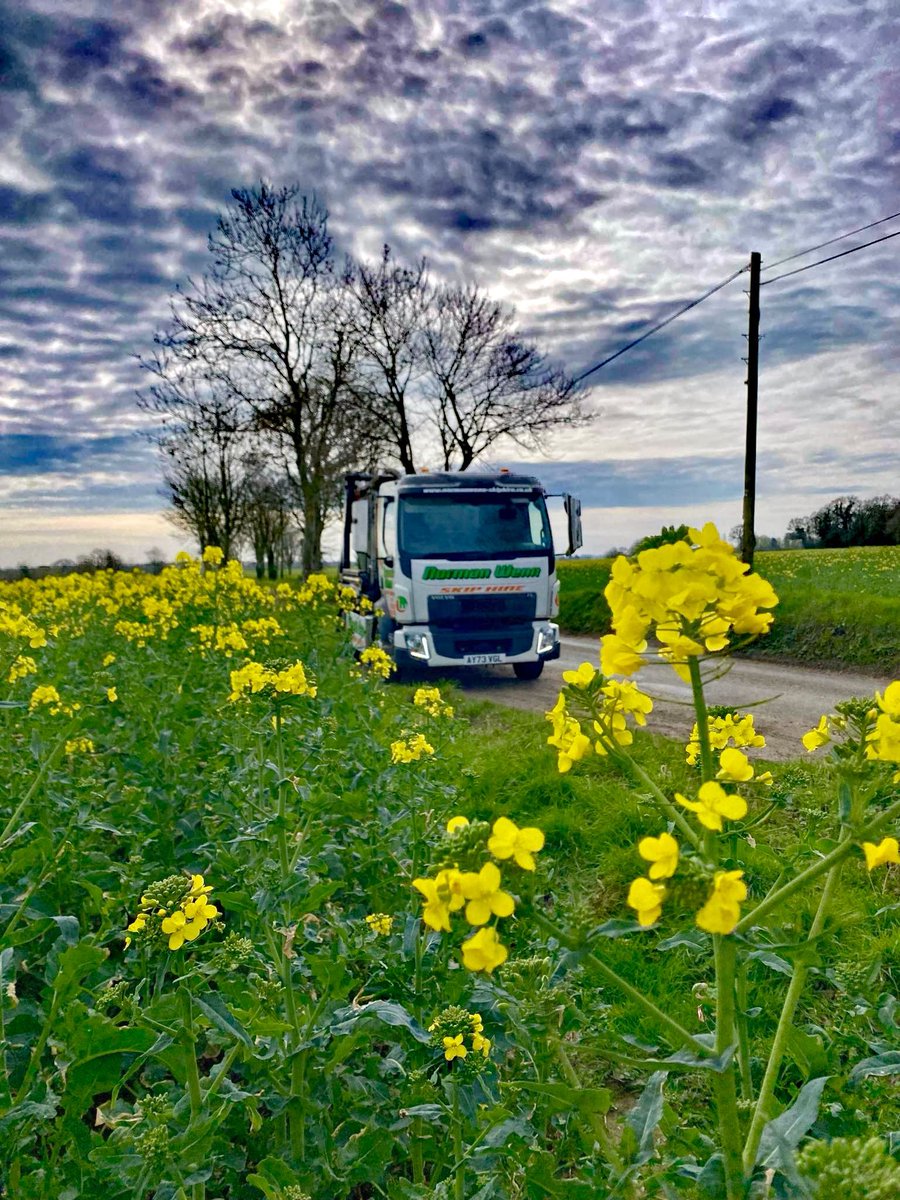 🌼 Save the trips back and forth to the tip - hire a skip for an easier &amp; more efficient means of getting rid of your rubbish this spring! 🌼