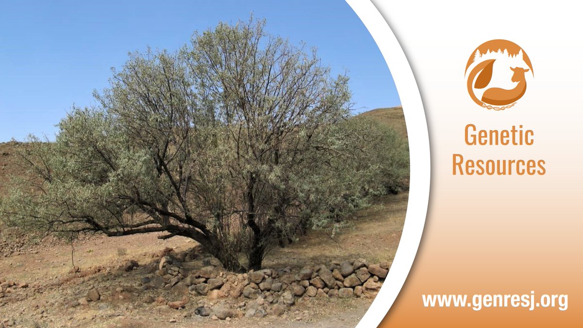 Genetic Resources journal tweet media