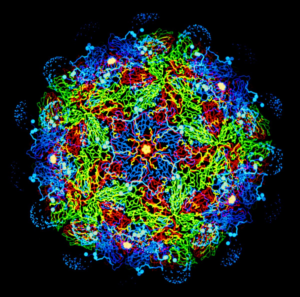 The Pirbright Institute (@pirbright_inst) on Twitter photo PhD opportunity: Explore the rapid evolution of viruses such as foot-and-mouth disease (FMDV)
Led by and based <a href="/UofGlasgow/">University of Glasgow</a> (School of Biodiversity, One Health, and Veterinary Medicine), with supervisors at Pirbright.
More details and to apply ➡️ ow.ly/4TS850R7stK PhD opportunity: Explore the rapid evolution of viruses such as foot-and-mouth disease (FMDV)
Led by and based <a href="/UofGlasgow/">University of Glasgow</a> (School of Biodiversity, One Health, and Veterinary Medicine), with supervisors at Pirbright.
More details and to apply ➡️ ow.ly/4TS850R7stK