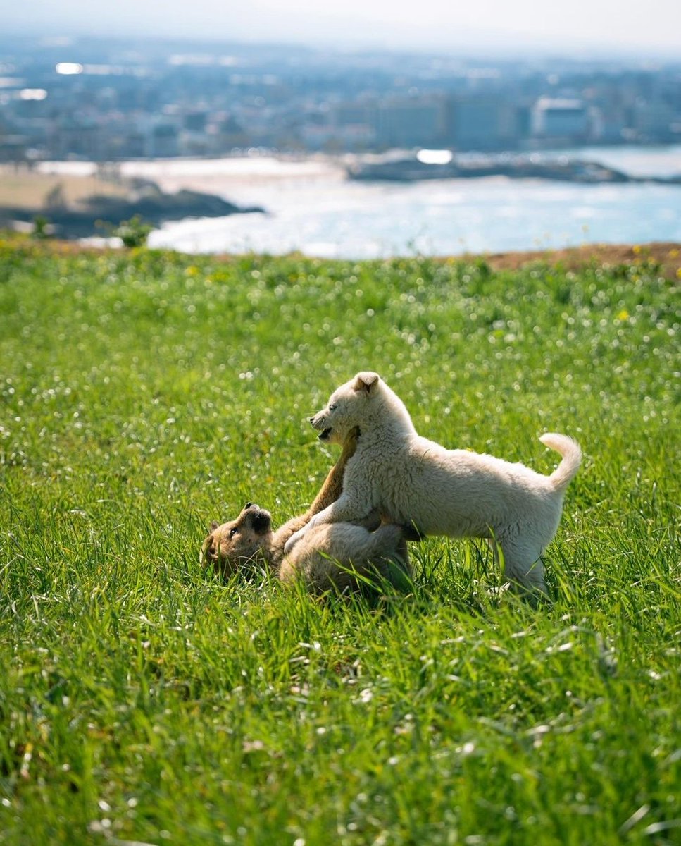 The Blueberry Trails tweet media