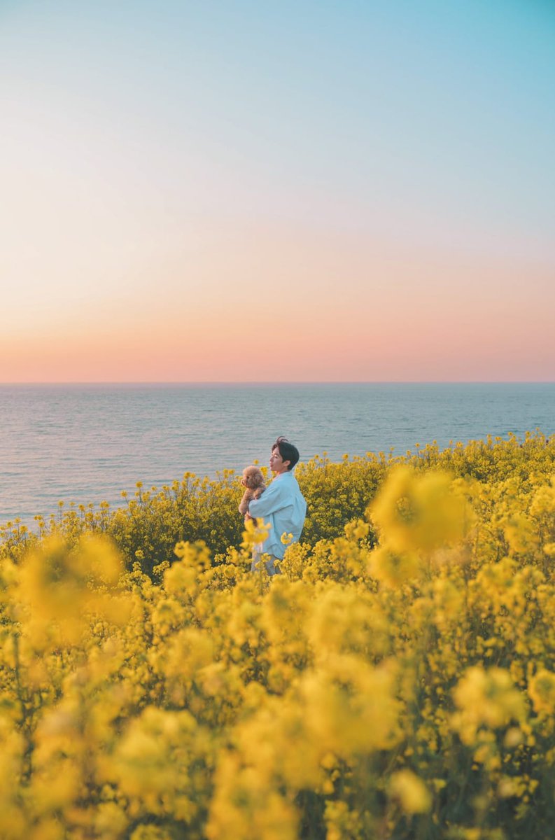 The Blueberry Trails tweet media