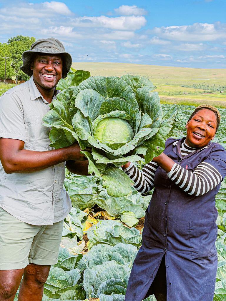 p_dusabimana's tweet photo. If you appreciate the job of farmers to feed us, please like and repost massively! https://t.co/HL73R6Vyym