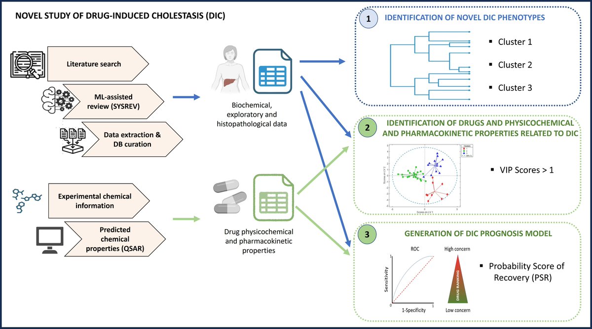 After a lot of international and collaborative work, we are happy to see our effort capture in this publication in Biomedicine &amp; Pharmacotherapy. #DILI #cholestasis #DrugRiskAssessment <a href="/IISLaFe/">IIS La Fe</a> @CIBERehd <a href="/medicina_uv/">Fac. Medicina UV</a> <a href="/Hepex_UV_LaFe/">HepEx_UV_LaFe</a> 
sciencedirect.com/science/articl…
