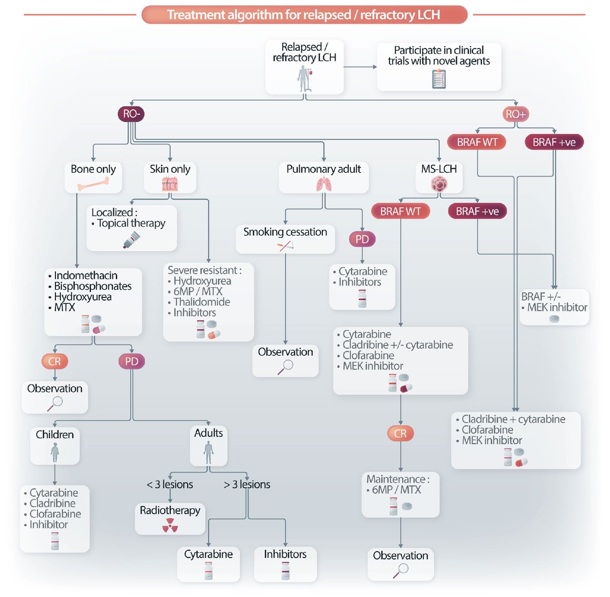 Here, Cournoyer and colleagues describe their experience with the #BRAF-inhibitor dabrafenib and the #MEK-inhibitor trametinib to treat patients with newly diagnosed or relapsed/refractory #Langerhans_cell_histiocytosis.  haematologica.org/article/view/h…