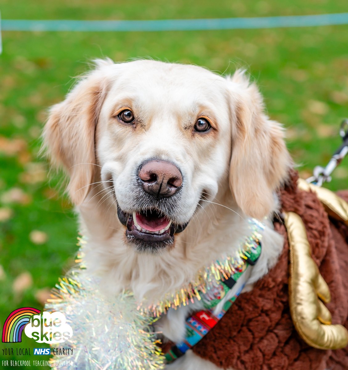 Register now for this years Walkies for Wards event ! Join us at the picturesque @LythamHall with your furry friend, adorned in their most charming festive attire and together, let’s explore the captivating grounds of Lytham Hall. blueskiescharity.co.uk/events/walkies…