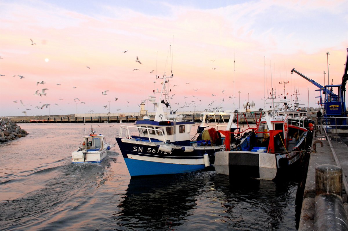 Vous avez obtenu une aide FEAMPA, pêche ou aquaculture ? Vous avez déposé un dossier de demande de subvention au titre du FEAMPA ? Si oui, vous avez la possibilité de répondre à cette étude de mi-parcours lancée par la Commission Européenne: sphinxonline.com/surveyserver/s…