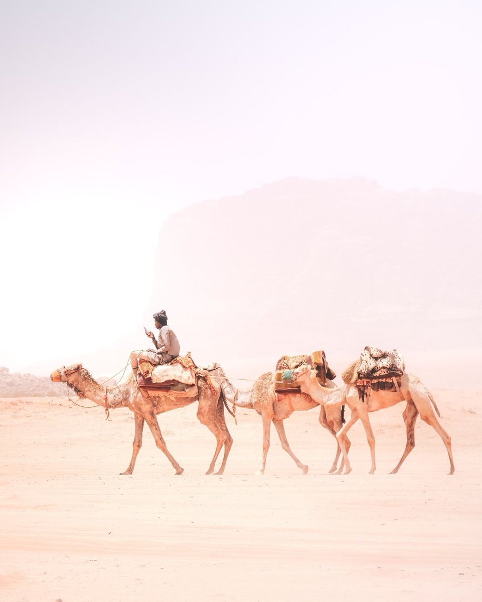 Time to escape the hustle and bustle and lose yourself in the endless sands ⁠ 📸 natestephens1⁠ ⁠ #KingdomOfTime #VisitJordan #ShareYourJordan #Jordan