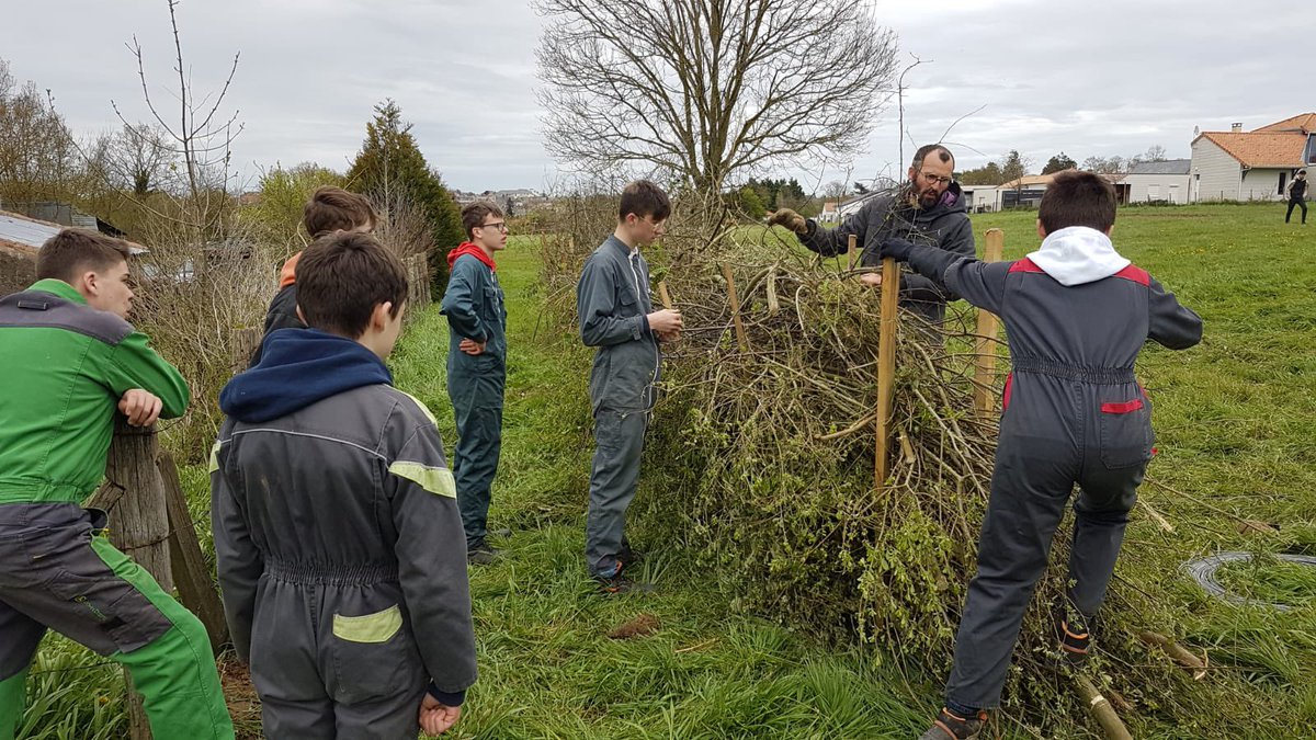 MFR-CFA de Chemillé tweet media