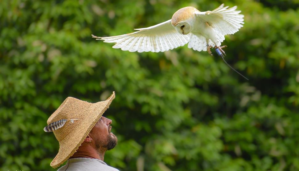 Catch some free Easter fun at Fort Nelson throughout the Easter holidays with a Bunny Bingo trail for younger visitors and special falconry events on 4, 9, and 11 April with birds of prey flying high above the Fort. visit-hampshire.co.uk/whats-on/free-…