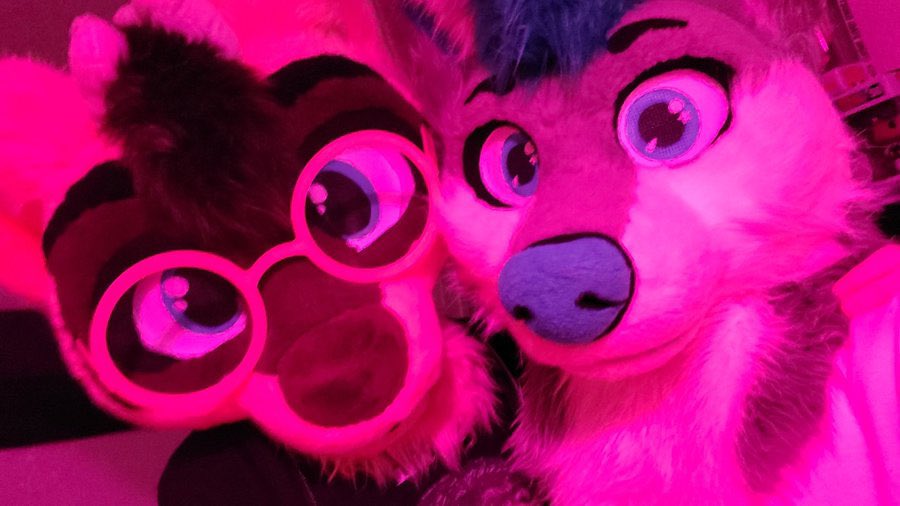 Truly speechless to now learn about the passing of Rali, another beloved hero of the Furry ASMR community.

I deeply thank Rali and Snowball for everything they’ve done for this community, we will never forget their contributions.

May they both rest in peace together. 💙💜🕊️